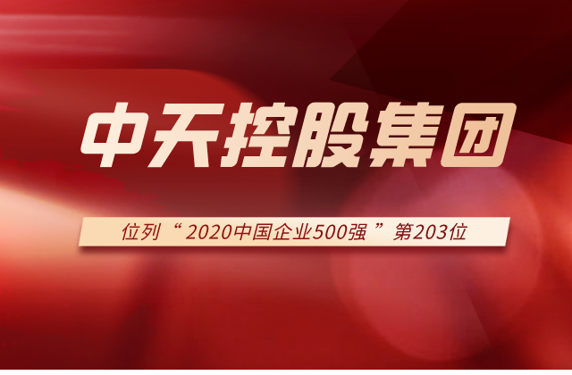 六合联盟集团列2020中国企业500强第203位！